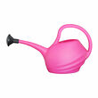 Watering can with plastic strainer 2 liters, color pink